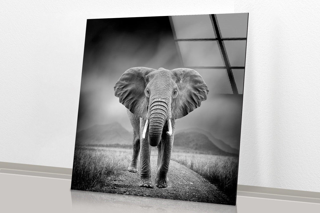 Large Elephant Glass Wall Art glass art painting, glass art for the Wall