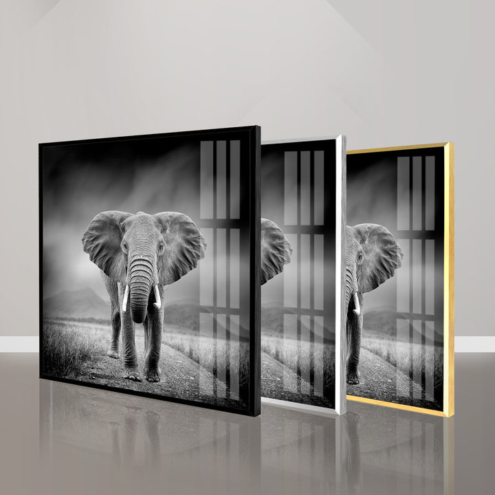 Large Elephant Glass Wall Art print on glass, glass printed photos