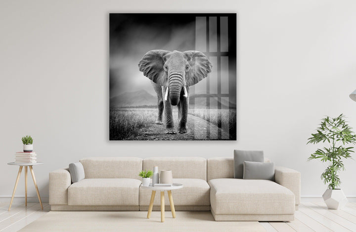 Large Elephant Glass Wall Art large glass photo prints, glass wall photos