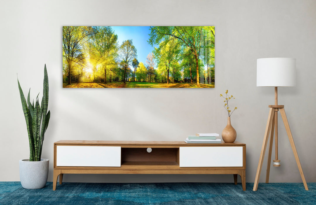 Forest Panorama With Sun Rays Glass Wall Art, art glass wall art, glass wall art pictures