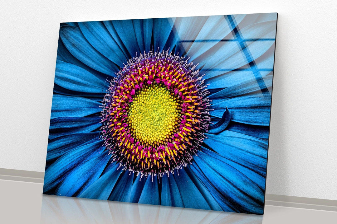 Close Up Gerbera Flower Glass Wall Art, glass photo prints, glass picture prints