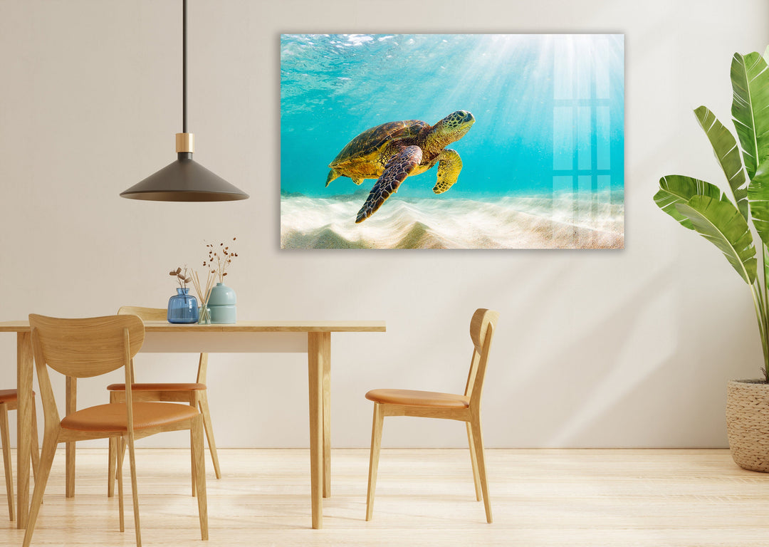 Sea Turtle Tropical Glass Wall Art large glass photo prints, glass wall photos