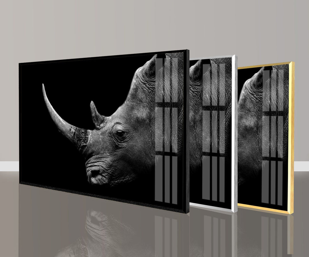 Rhino Head Glass Wall Art glass photo prints, glass picture prints