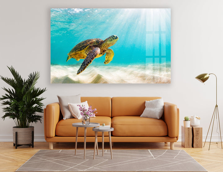 Sea Turtle Tropical Glass Wall Art glass pictures for Wall, glass prints wall art