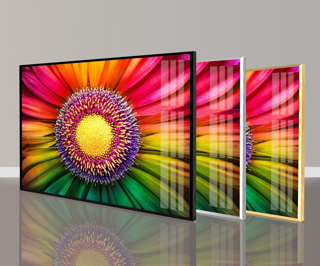 Rainbow Gerbera Flower Close Up Glass Wall Art, Glass Printing Wall Art, Print photos on glass