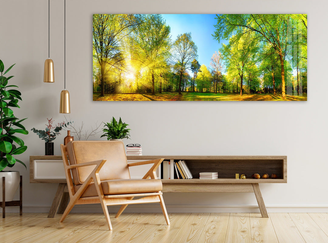 Forest Panorama With Sun Rays Glass Wall Art, print picture on glass, Tempered Glass Wall Art