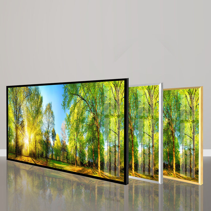 Forest Panorama With Sun Rays Glass Wall Art, glass photo prints, glass picture prints