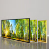 Forest Panorama With Sun Rays Glass Wall Art, glass photo prints, glass picture prints