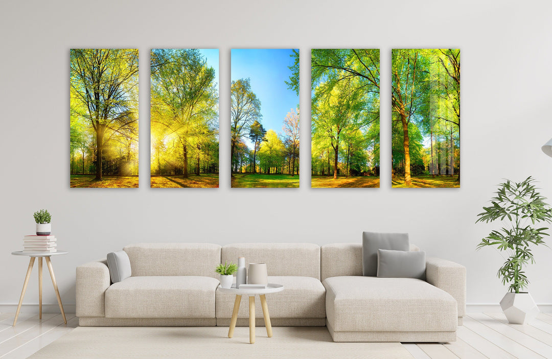 Forest Panorama With Sun Rays Glass Wall Art, Glass Printing Wall Art, Print photos on glass