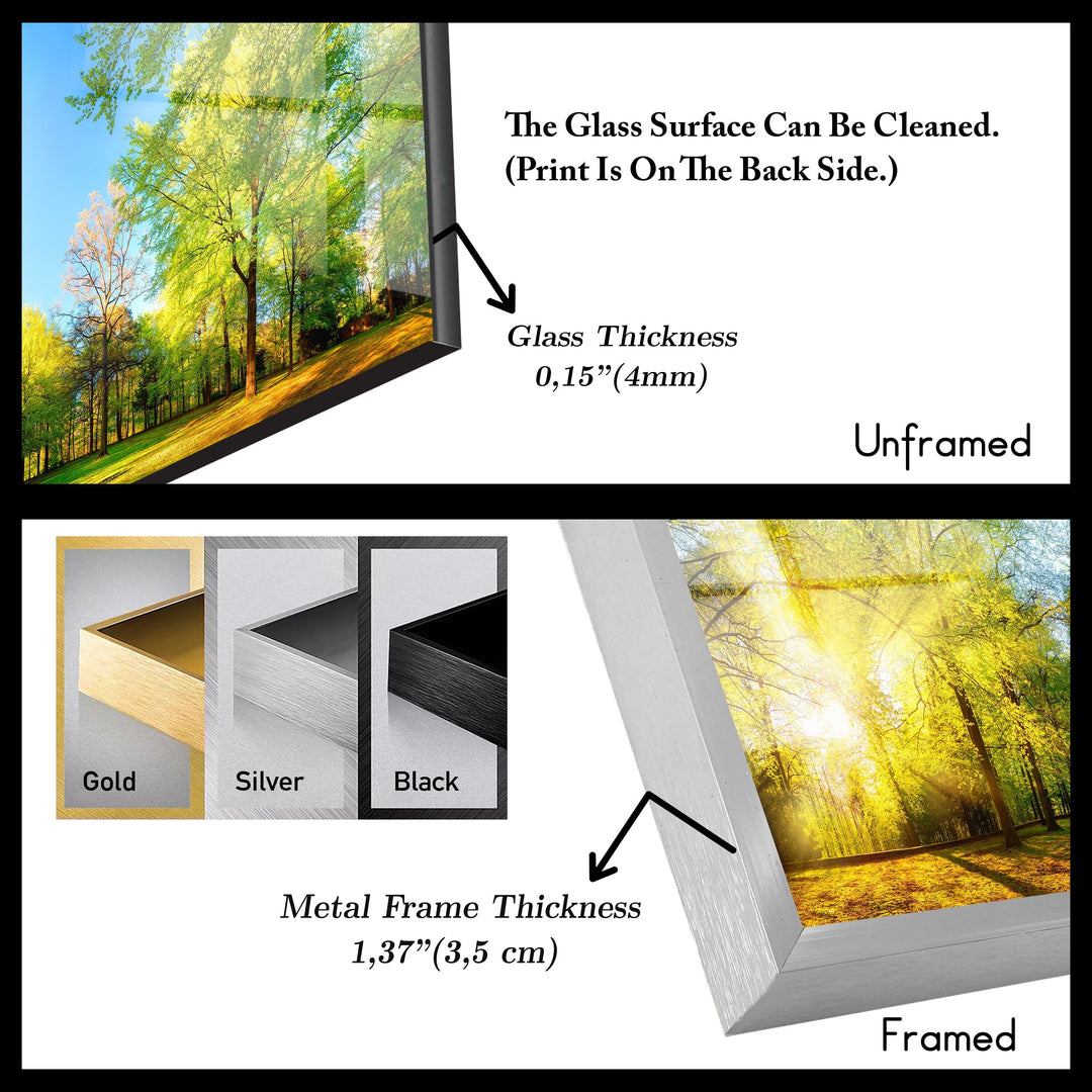 Forest Panorama With Sun Rays Glass Wall Art, glass pictures for Wall, glass prints wall art