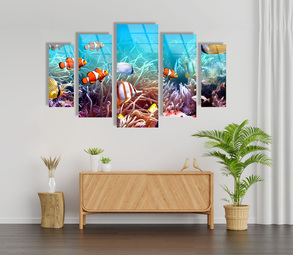 Clownfishes On The Seabed Glass Wall Art, picture on glass wall art, photos printed on glass