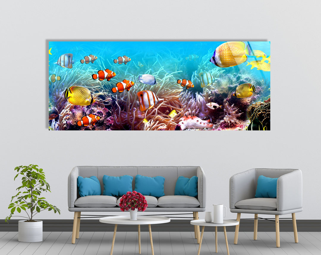 Clownfishes On The Seabed Glass Wall Art, Glass Printing Wall Art, Print photos on glass