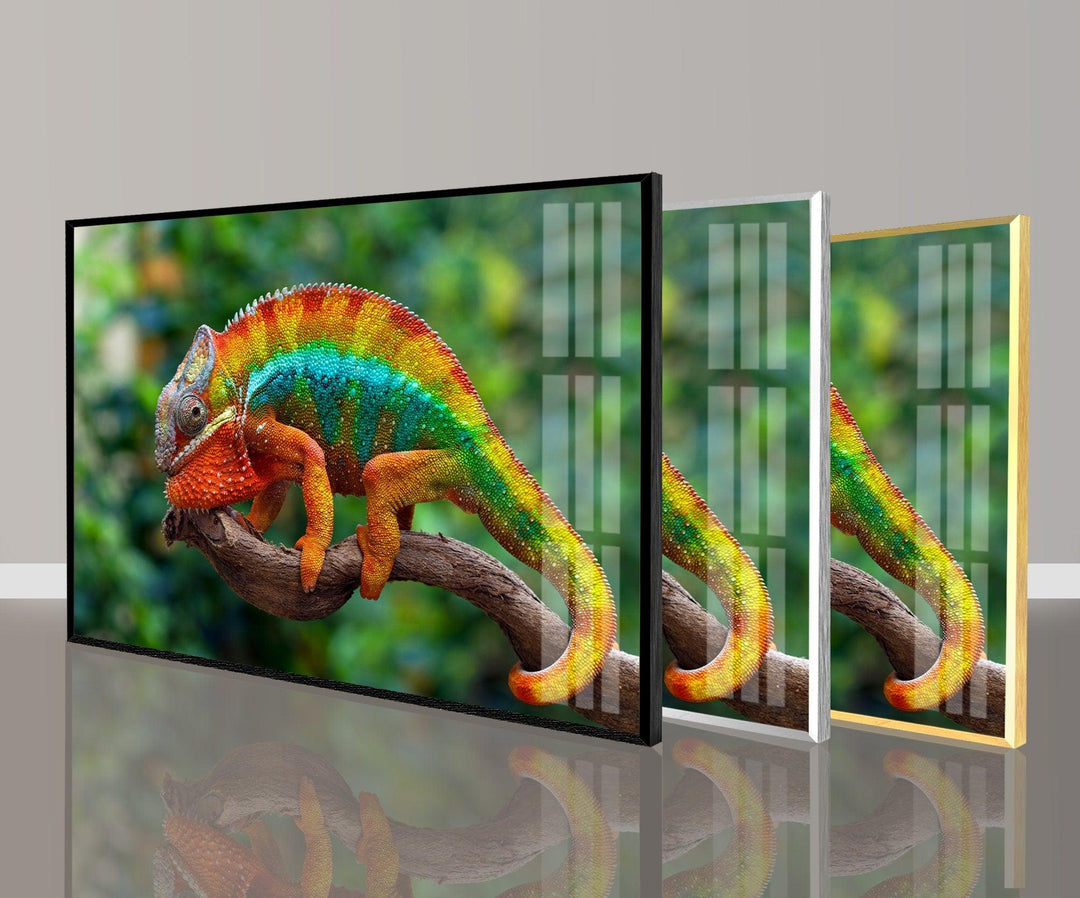 Vibrant Chameleon Glass Wall Art custom glass photo prints, large glass prints