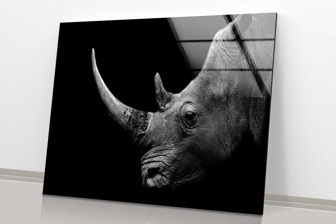 Rhino Head Glass Wall Art print picture on glass, Tempered Glass Wall Art