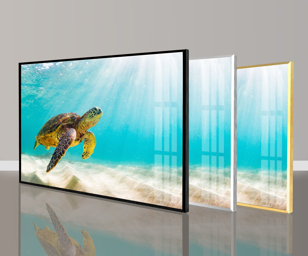 Sea Turtle Tropical Glass Wall Art picture on glass wall art, photos printed on glass