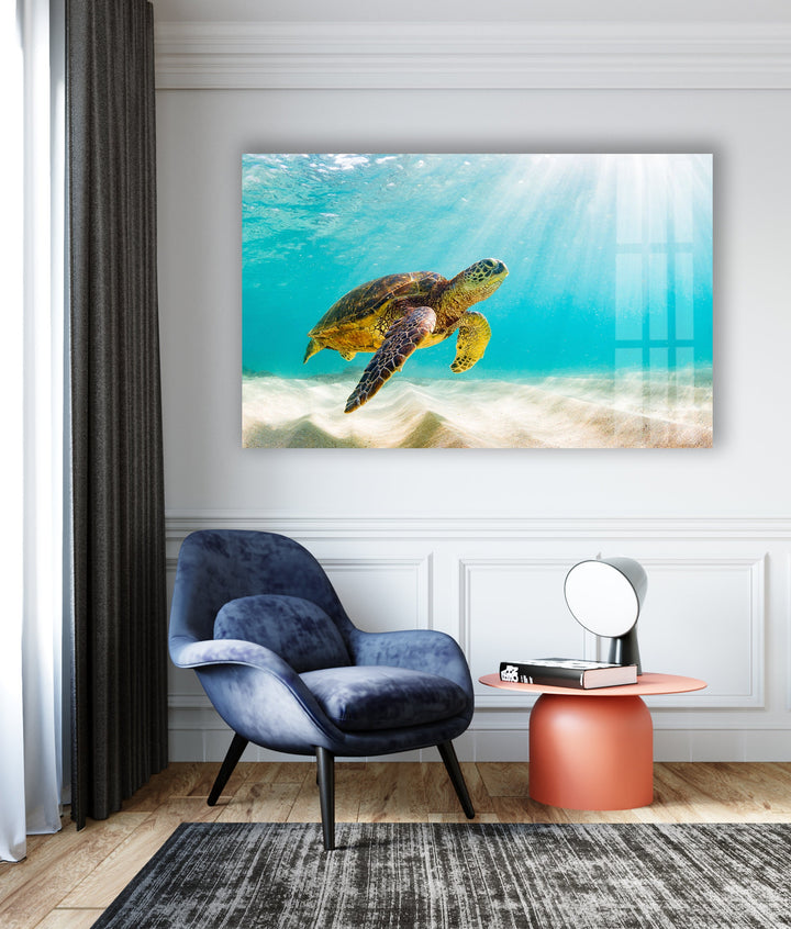 Sea Turtle Tropical Glass Wall Art custom glass photo prints, large glass prints