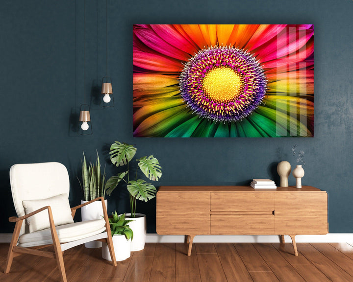 Rainbow Gerbera Flower Close Up Glass Wall Art, glass image printing, glass prints from photos