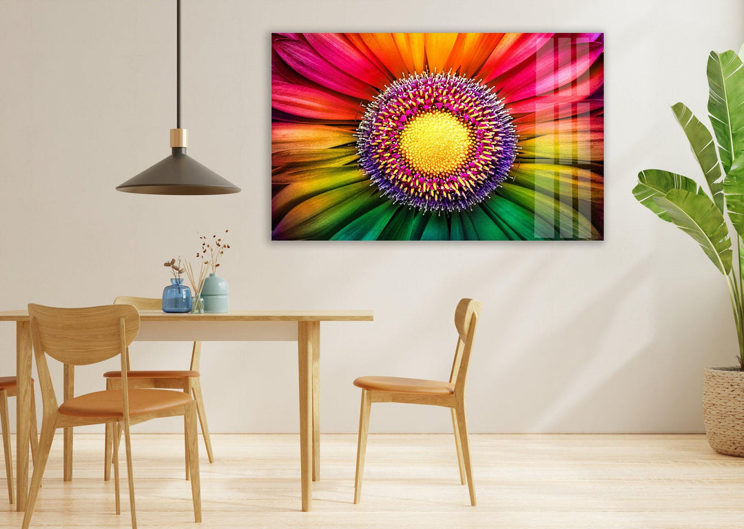 Rainbow Gerbera Flower Close Up Glass Wall Art, glass photo prints, glass picture prints