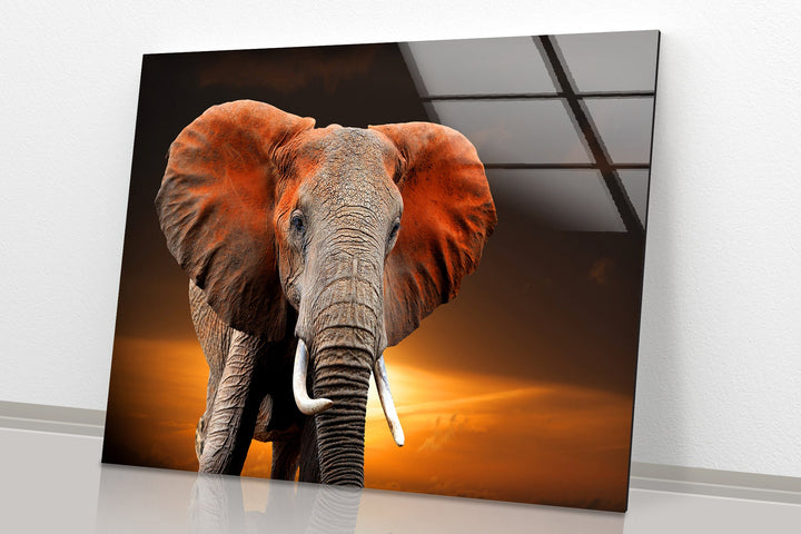 Wildlife Elephant Glass Wall Art art glass wall art, glass wall art pictures