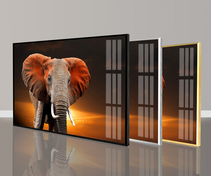 Wildlife Elephant Glass Wall Art photo print on glass, prints on glass wall art