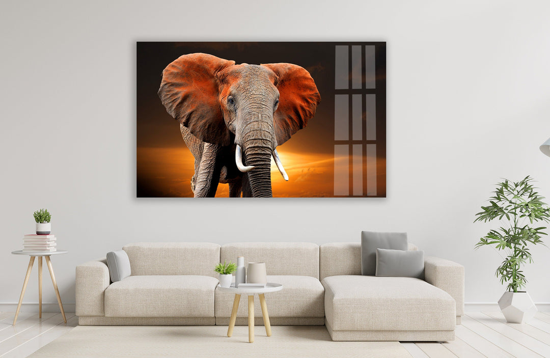 Wildlife Elephant Glass Wall Art glass pictures for Wall, glass prints wall art