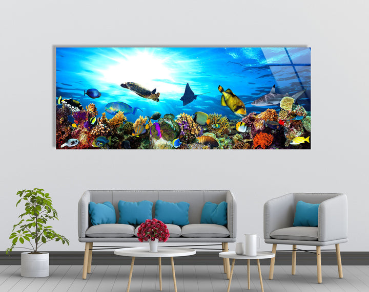 Ocean Life Turtles & Fishes Glass Wall Art, large glass photo prints, glass wall photos