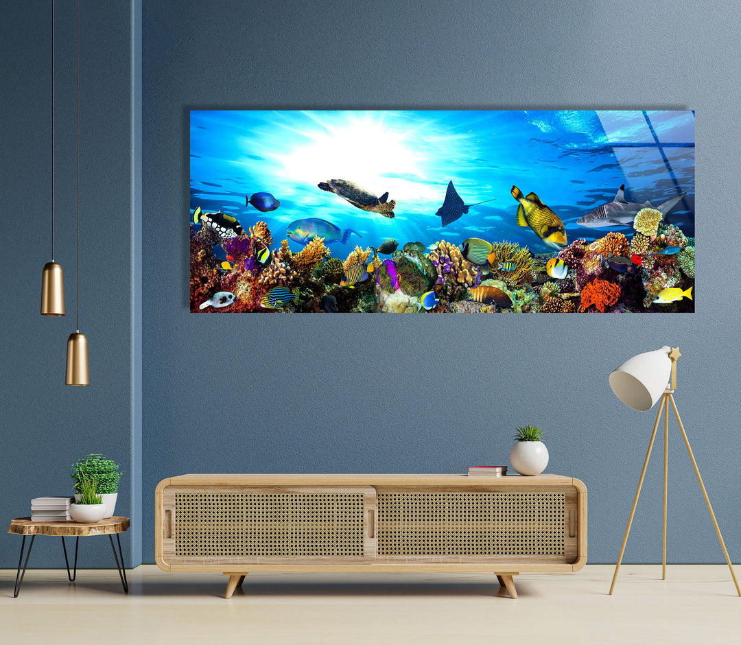 Ocean Life Turtles & Fishes Glass Wall Art, print on glass, glass printed photos