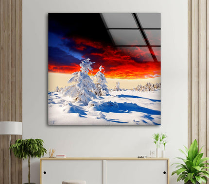 Winter Snowy Forest Glass Wall Art