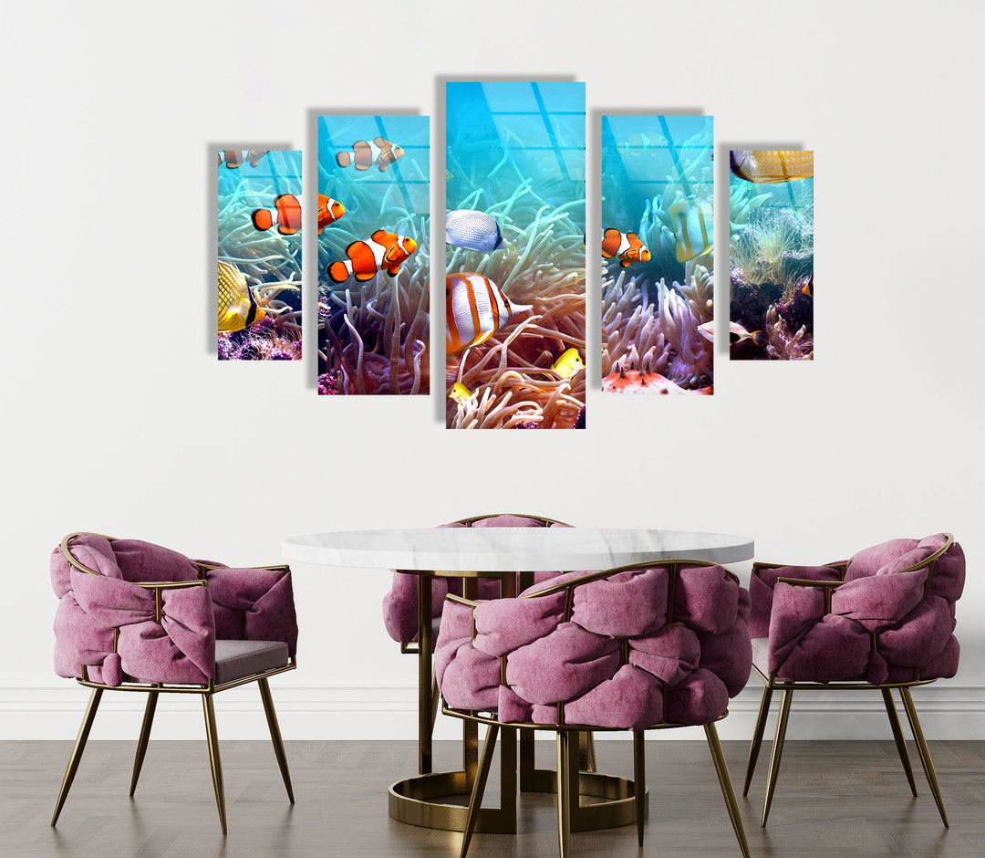 Clownfishes On The Seabed Glass Wall Art, print picture on glass, Tempered Glass Wall Art