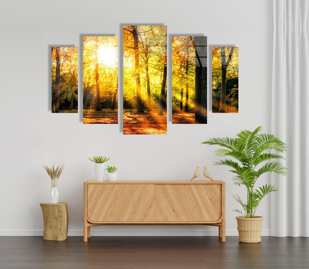 Sun Rays In The Green Forest Glass Wall Art, print picture on glass, Tempered Glass Wall Art