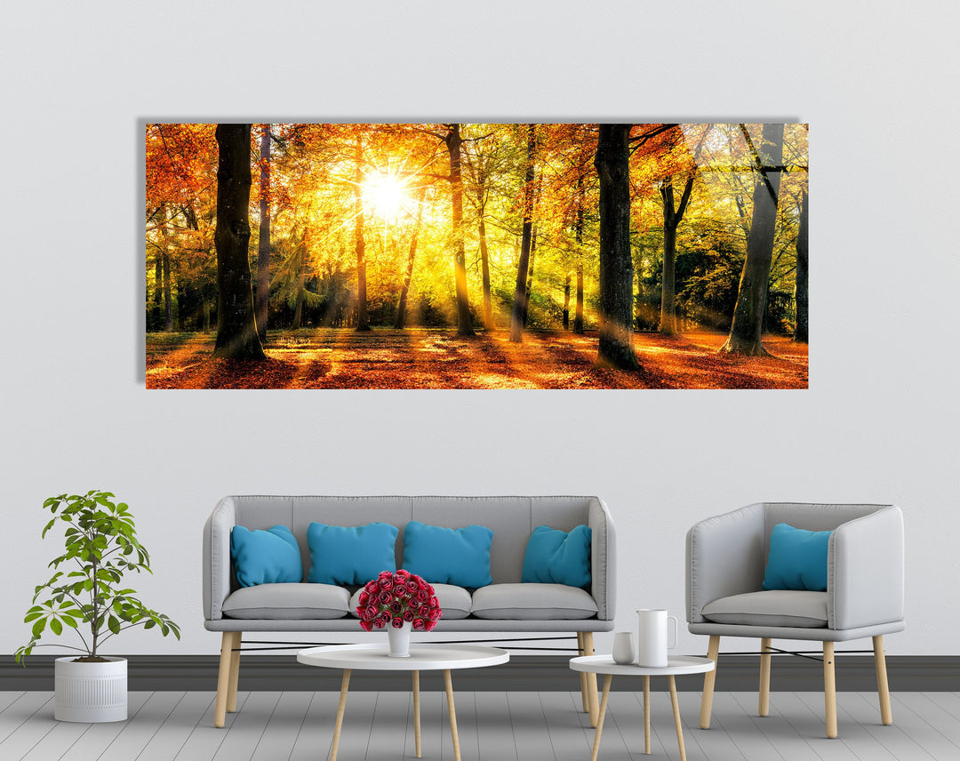 Sun Rays In The Green Forest Glass Wall Art, picture on glass wall art, photos printed on glass