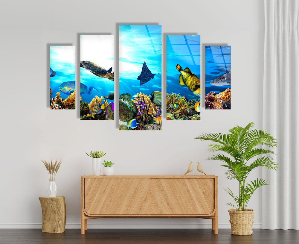 Ocean Life Turtles & Fishes Glass Wall Art, glass photo prints, glass picture prints