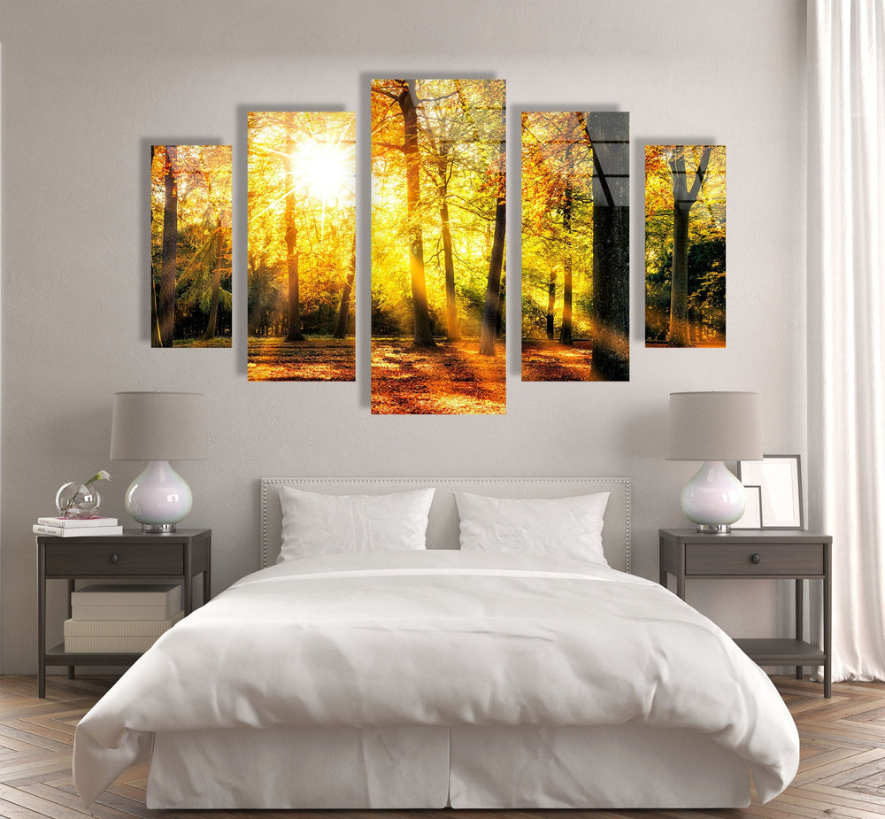 Sun Rays In The Green Forest Glass Wall Art, custom glass photo prints, large glass prints