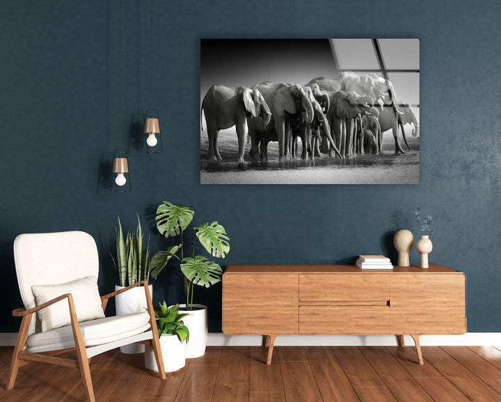 Elephant Group Glass Wall Art print on glass, glass printed photos