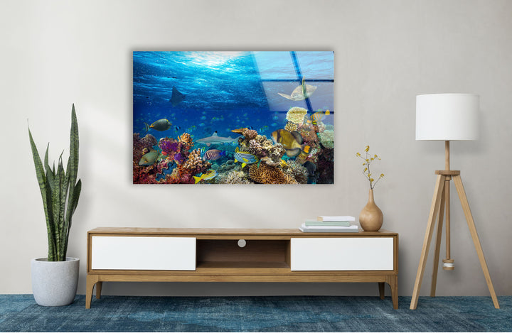 Tropic Under Ocean Glass Wall Art print on glass, glass printed photos