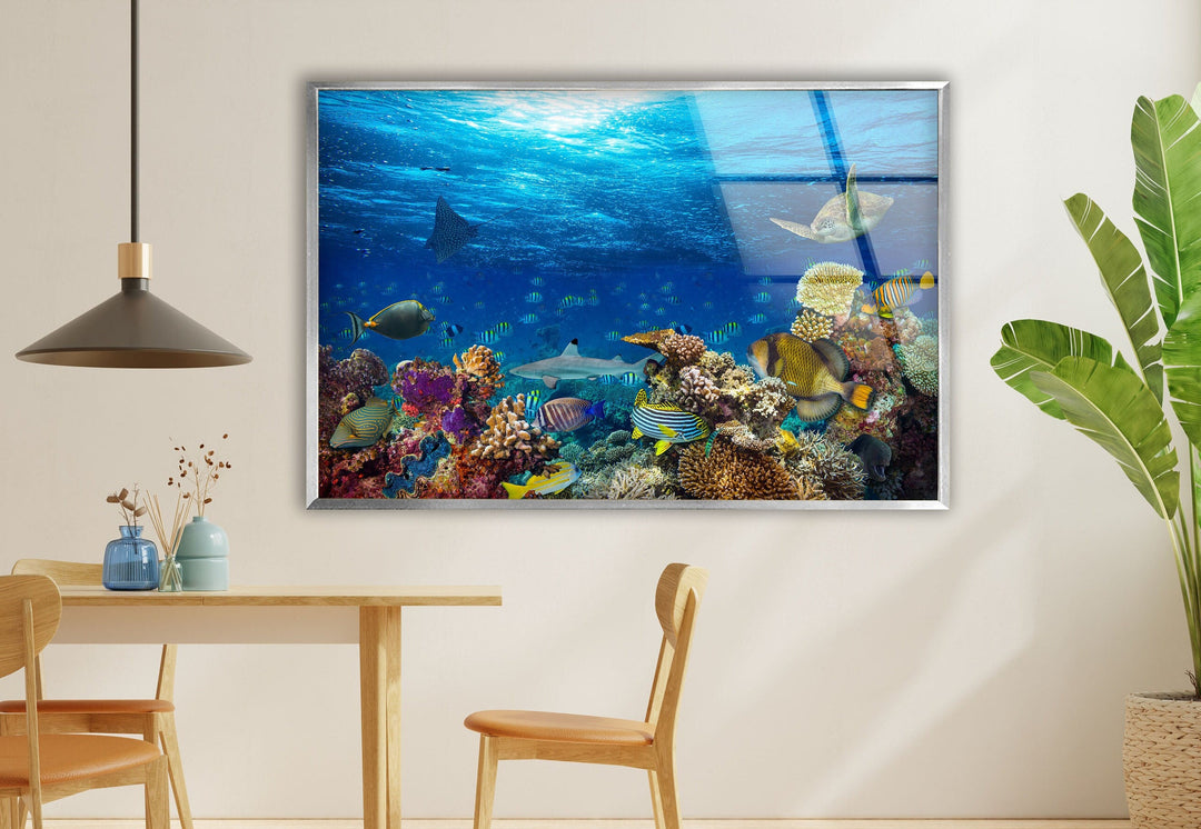 Tropic Under Ocean Glass Wall Art large glass photo prints, glass wall photos