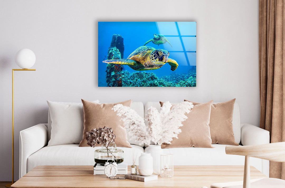 Sea Turtles Swimming Glass Wall Art custom glass pictures, glass art prints