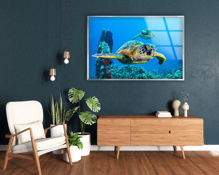 Sea Turtles Swimming Glass Wall Art photo print on glass, prints on glass wall art