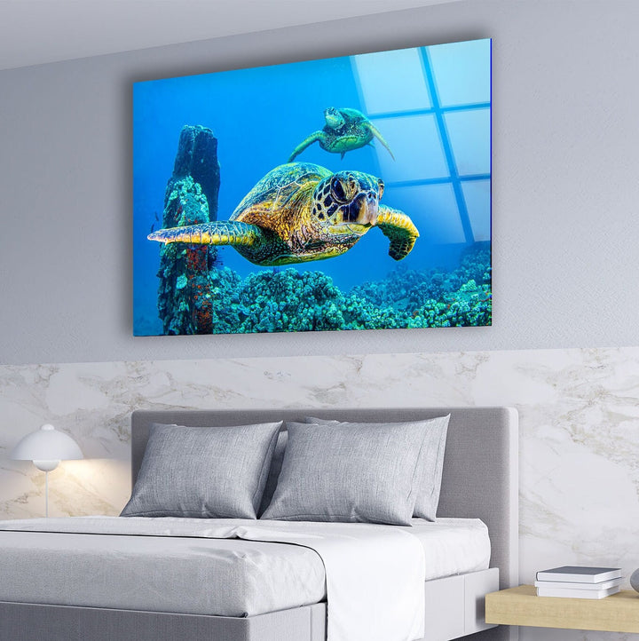 Sea Turtles Swimming Glass Wall Art large glass photo prints, glass wall photos