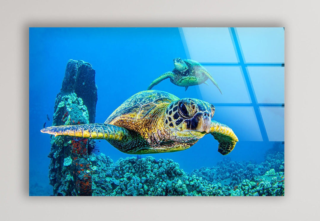 Sea Turtles Swimming Glass Wall Art art glass wall art, glass wall art pictures