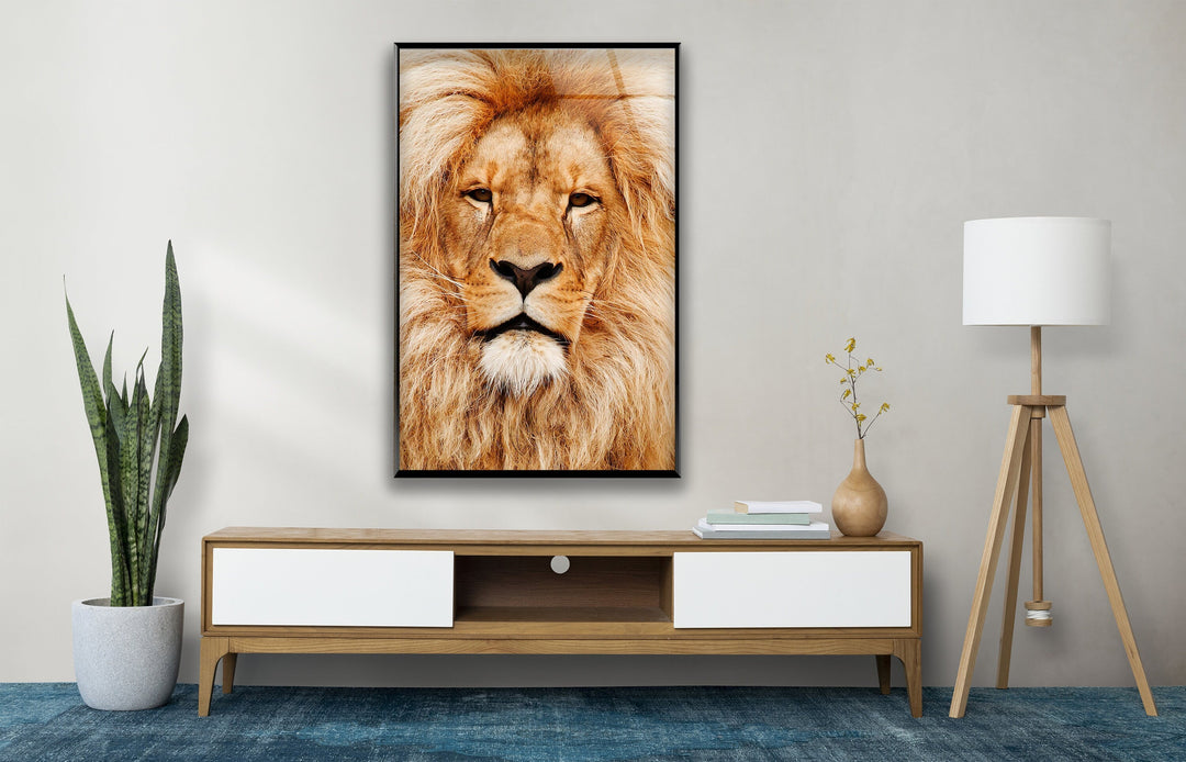 Orange Lion Portrait Glass Wall Art large glass photo prints, glass wall photos