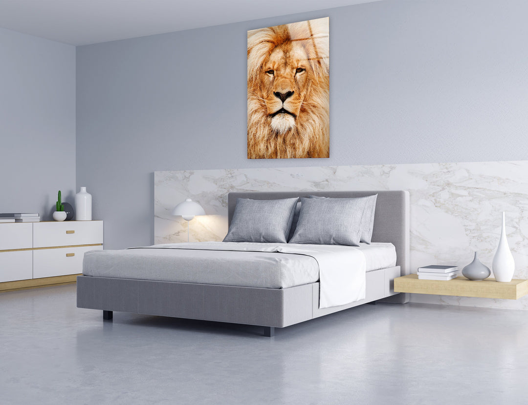 Orange Lion Portrait Glass Wall Art print on glass, glass printed photos