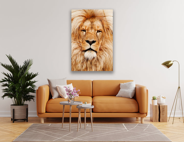 Orange Lion Portrait Glass Wall Art print picture on glass, Tempered Glass Wall Art