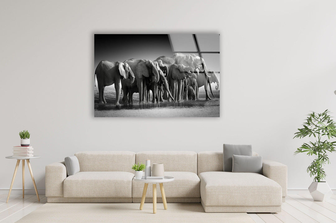 Elephant Group Glass Wall Art print picture on glass, Tempered Glass Wall Art