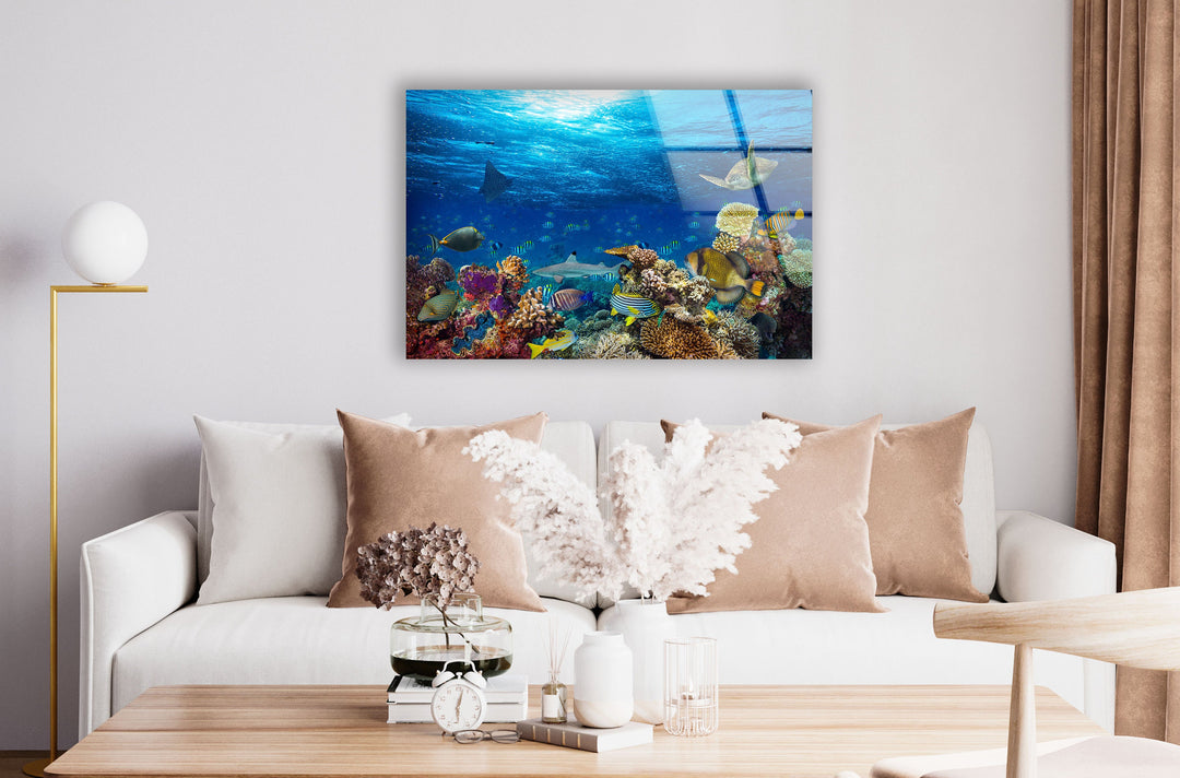 Tropic Under Ocean Glass Wall Art picture on glass wall art, photos printed on glass