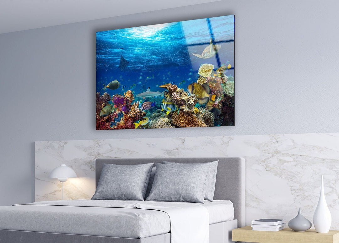 Tropic Under Ocean Glass Wall Art print picture on glass, Tempered Glass Wall Art