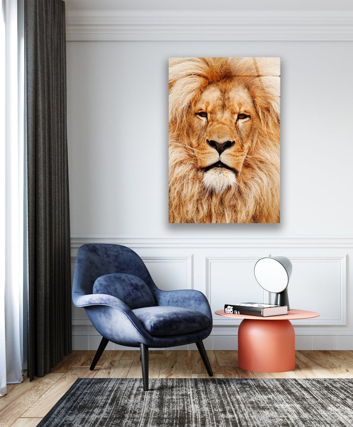 Orange Lion Portrait Glass Wall Art photo print on glass, prints on glass wall art