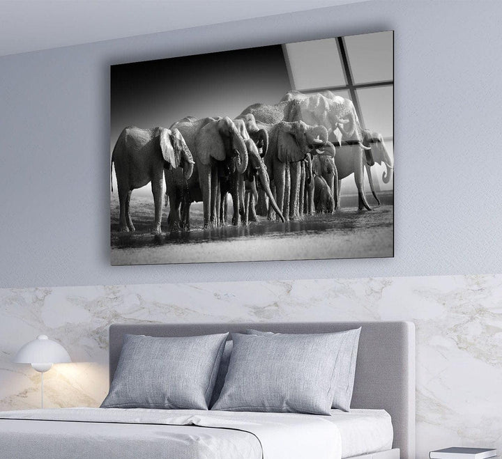 Elephant Group Glass Wall Art Glass Printing Wall Art, Print photos on glass