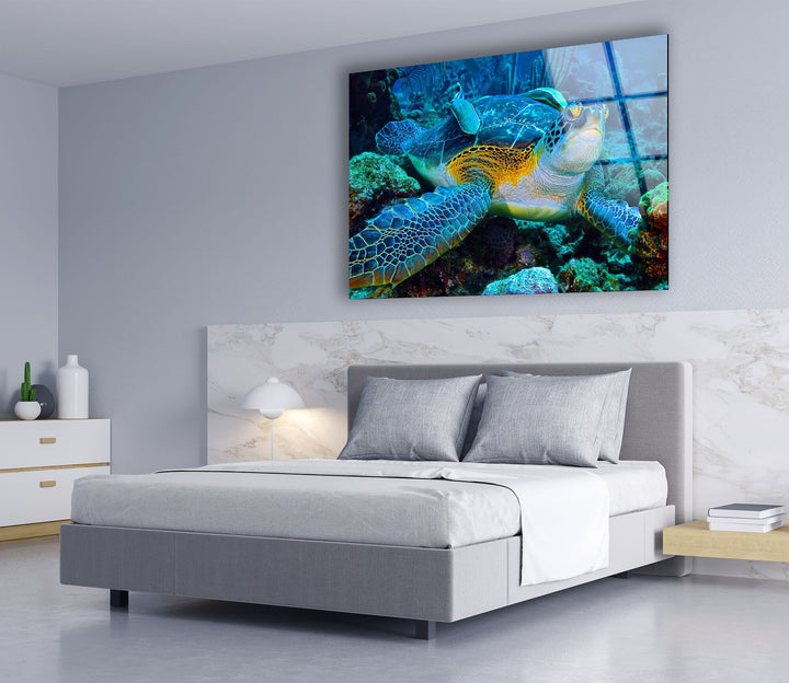 Graceful Sea Turtle Glass Wall Art custom glass photo prints, large glass prints