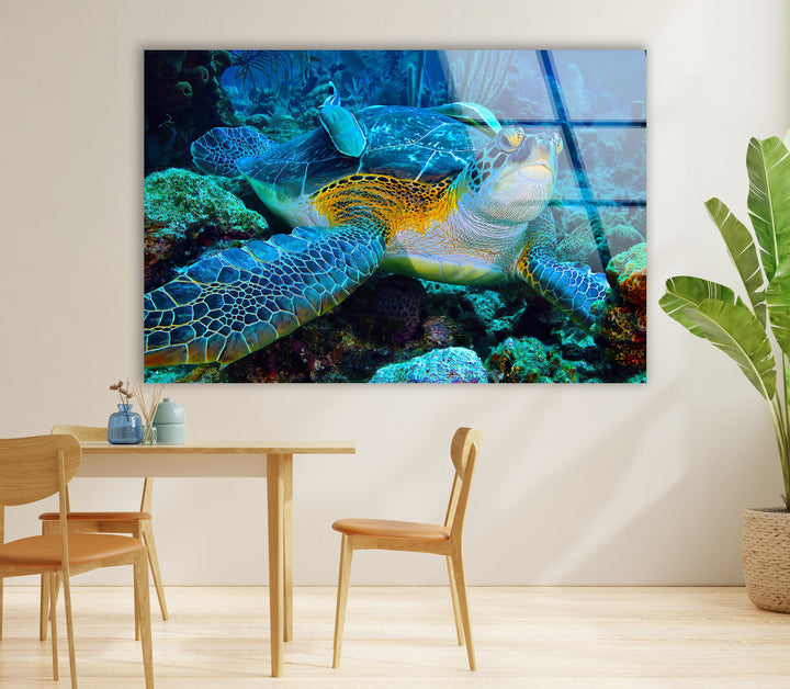 Graceful Sea Turtle Glass Wall Art picture on glass wall art, photos printed on glass